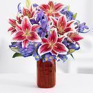 ProFlowers - 50% Off Valentine's Day Spectacular Bouquet