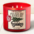 3-Wick Candles (Various Styles)
