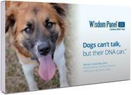 Wisdom Panel 3.0 Breed Identification DNA Test Kit