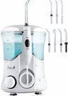 QQCute Water Dental Flosser w/ 7 Tips