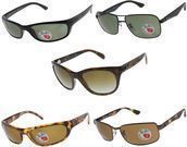 Ray-Ban Polarized Unisex Sunglasses