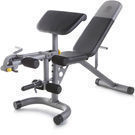 Gold's Gym XRS 20 Olympic Workout Bench