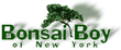 Bonsai Boy of New York